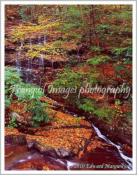 450716   Some rugged mountain scenery. West Virgina